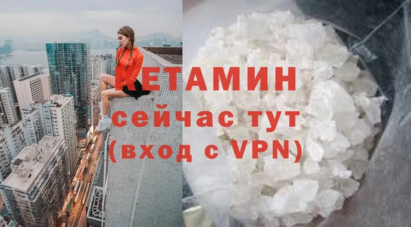 МДПВ Богородск