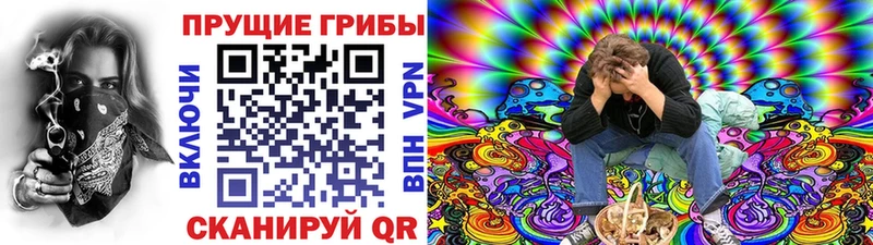 Псилоцибиновые грибы мухоморы Купить Высоковск